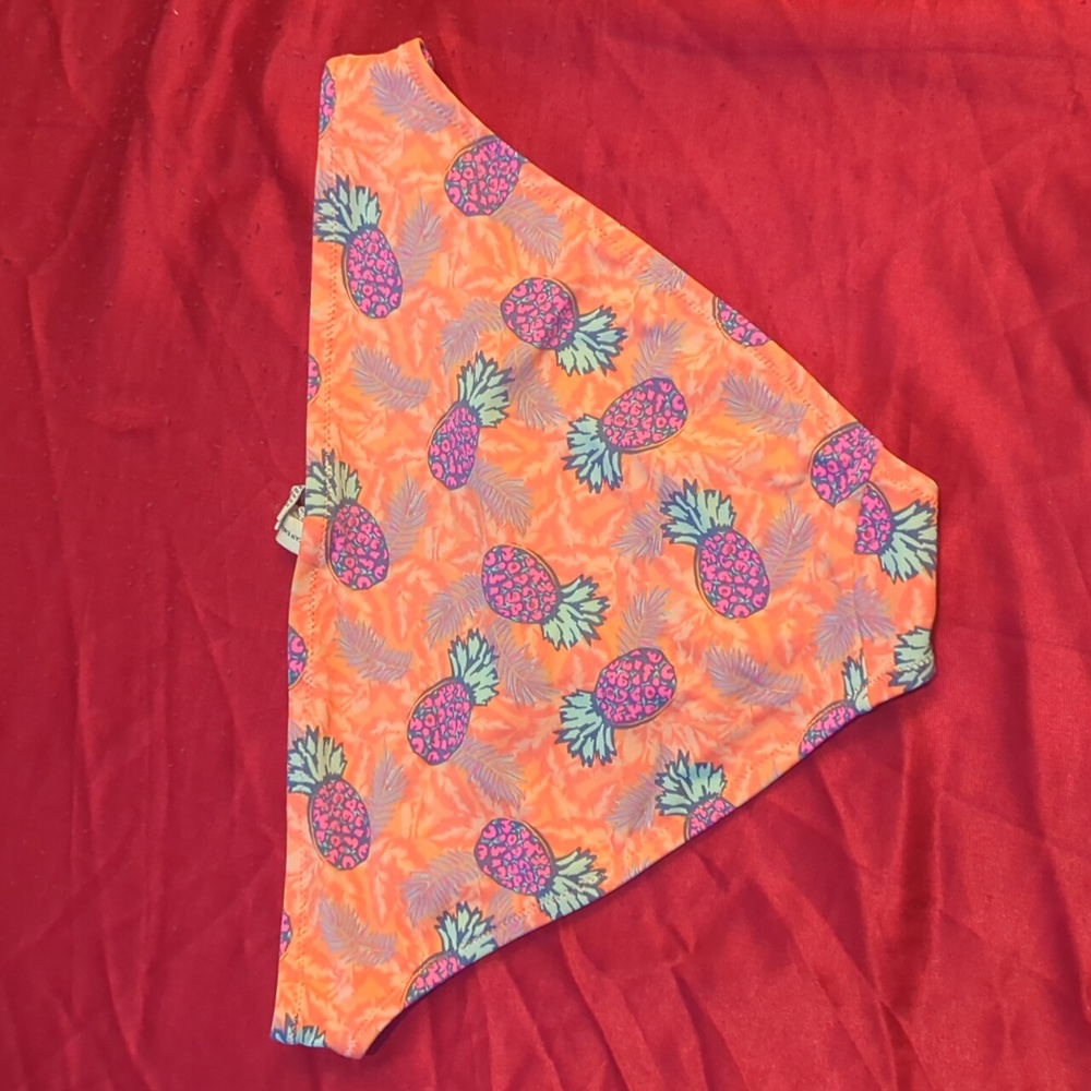 Pineapple Bikini Bottom - image 2